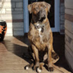 Meet your Posher, Robert